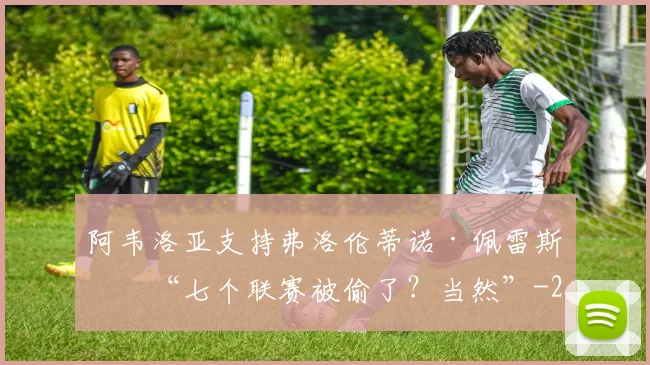 阿韦洛亚支持弗洛伦蒂诺·佩雷斯：“七个联赛被偷了？当然”