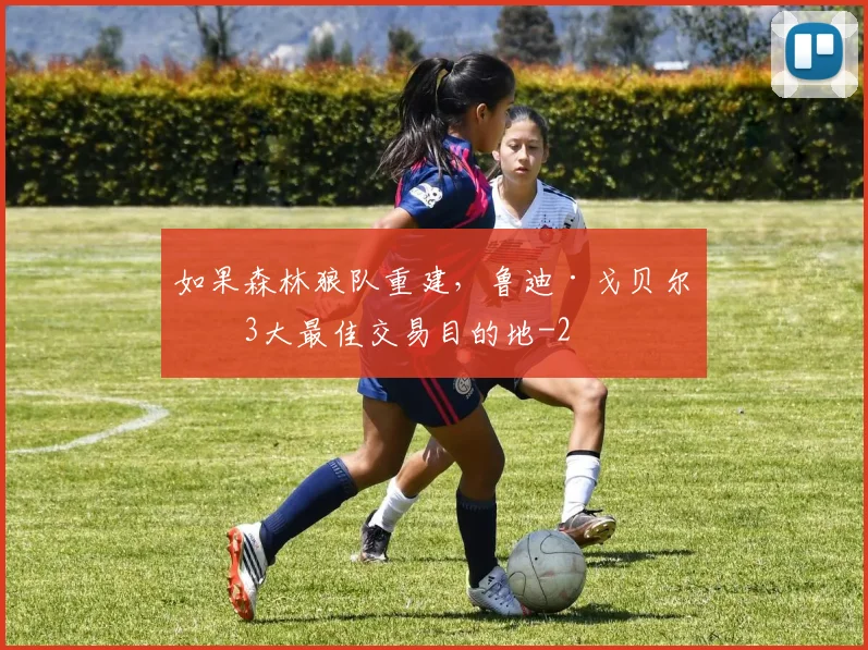 如果森林狼队重建，鲁迪·戈贝尔的3大最佳交易目的地